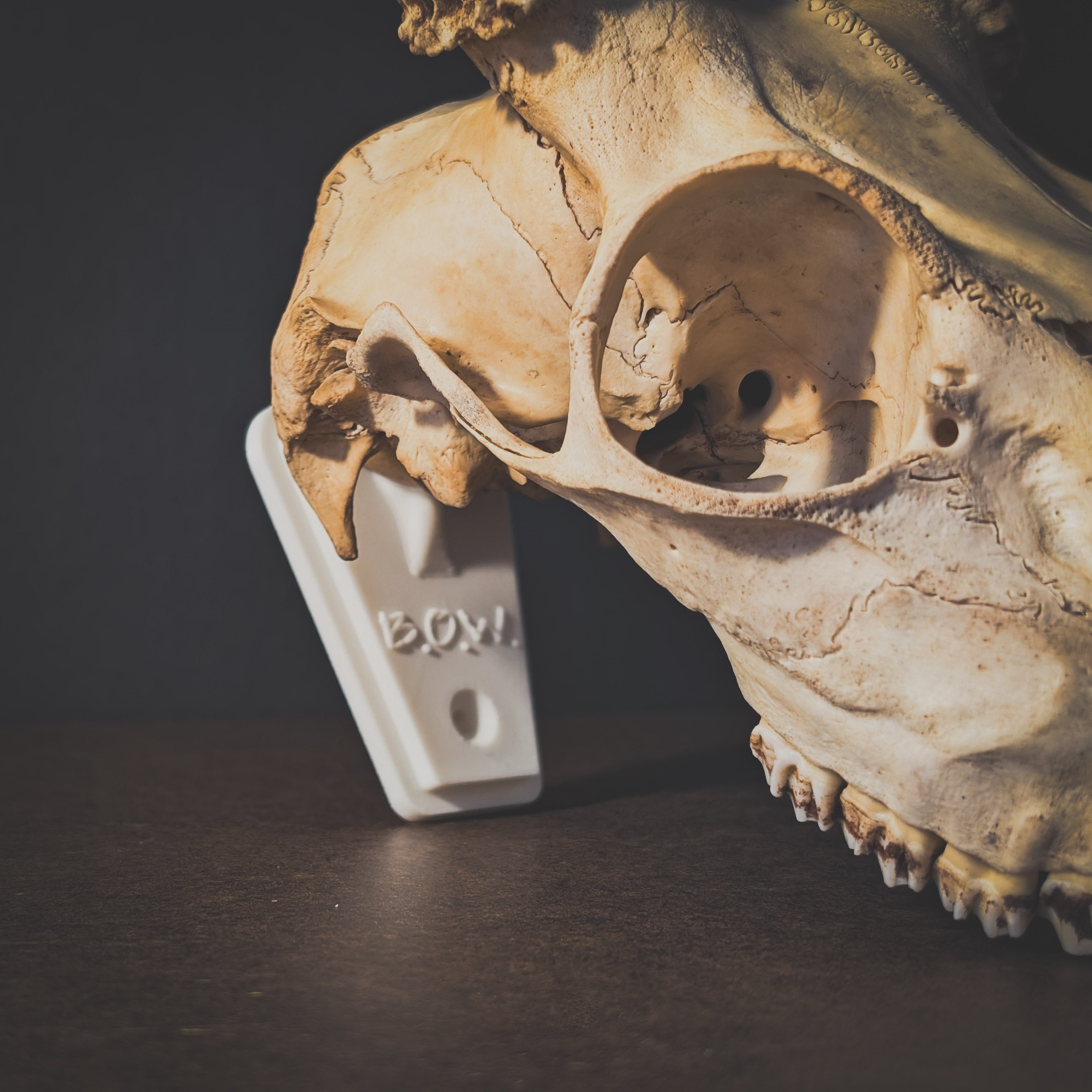 European Mounting Bracket